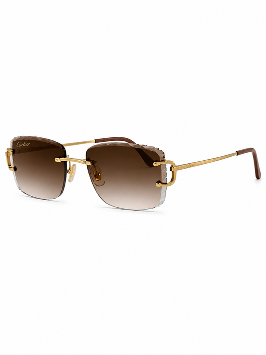 Cartier Glasses